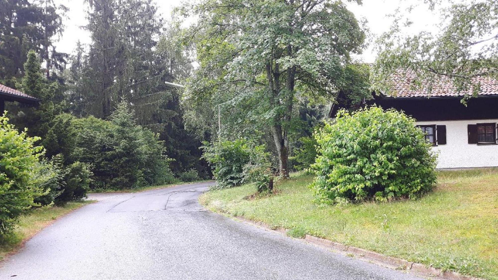 Ferienhaus Virzi - Waldferiendorf Regen Eksteriør billede
