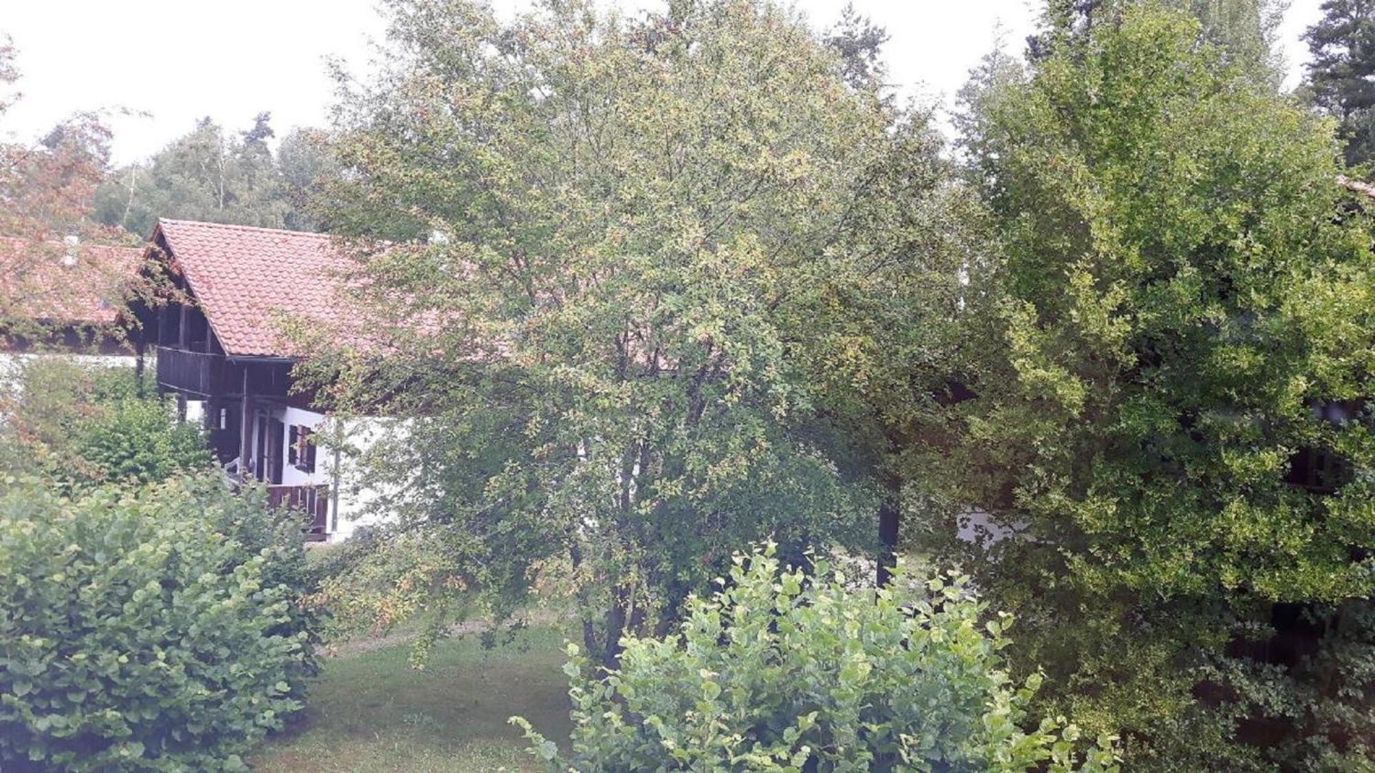 Ferienhaus Virzi - Waldferiendorf Regen Eksteriør billede
